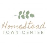 Homestead Town Center